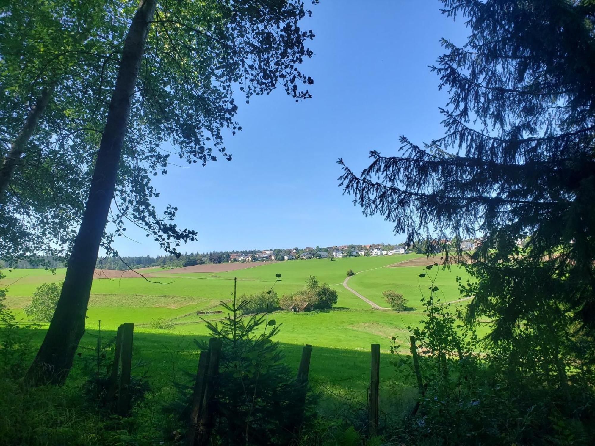 Alter Hirsch Hotel Pfalzgrafenweiler Buitenkant foto