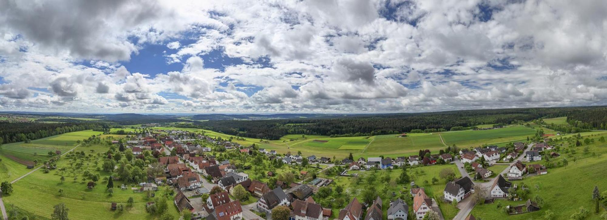 Alter Hirsch Hotel Pfalzgrafenweiler Buitenkant foto